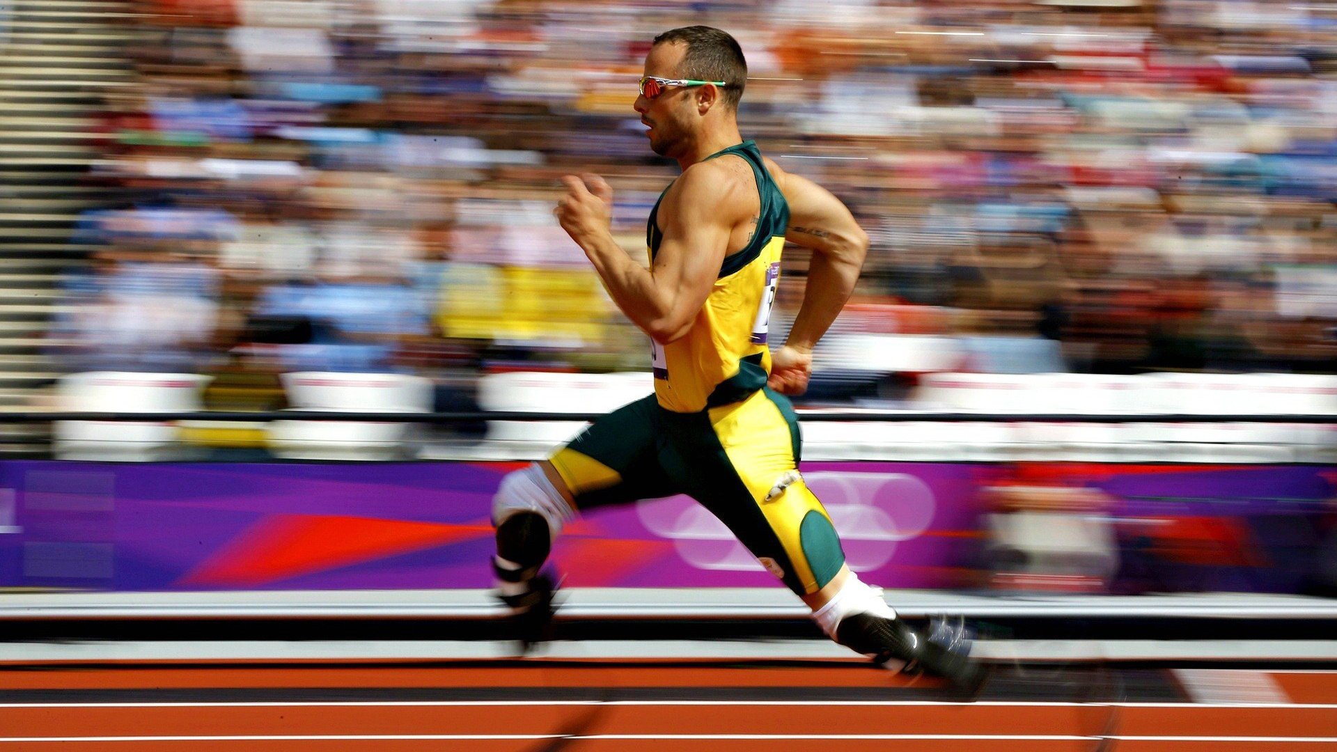 _魔术勇攀高峰，奋力追逐梦想_，魔术欣赏