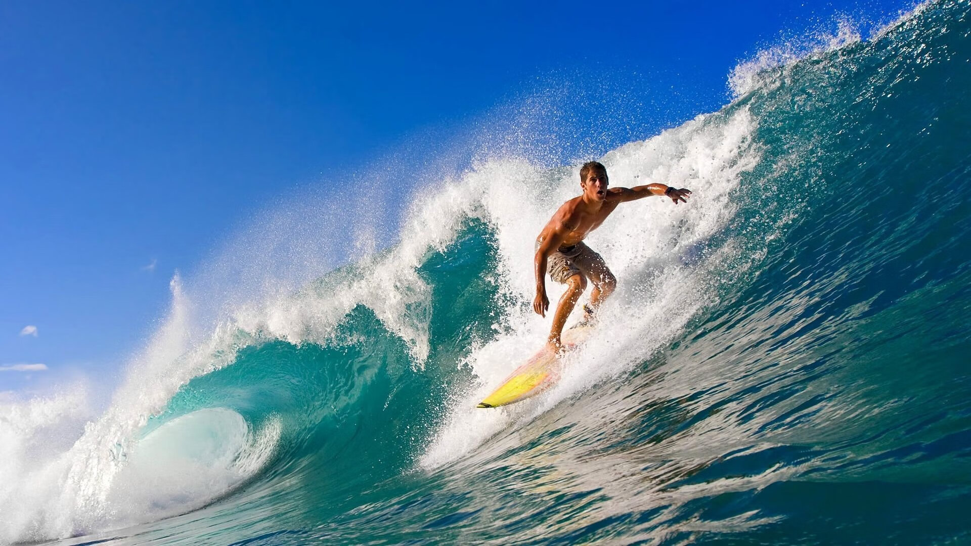 逆袭“黑马王”实现欧洲逆转奇迹，黑马逆袭是什么意思